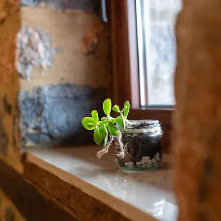 Mouses Agios Athanasios (Pella)