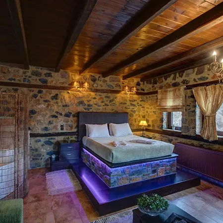 Guest house Mouses *