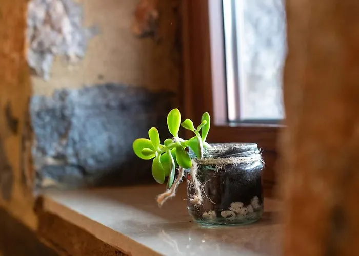 Mouses Agios Athanasios (Pella)